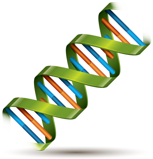 DNA